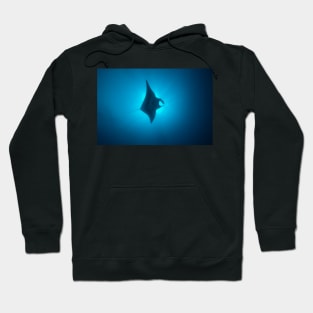 Manta Ray Gliding Through A Sunburst Hoodie